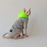 Neon Pop Hoodie