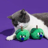 Green Apple Wooden Teeth Cleaning Stick