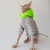 Neon Pop Hoodie