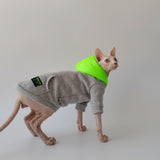 Neon Pop Hoodie