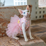 Fairy Mesh Layered Dress - Dot Pink