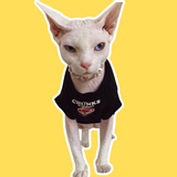 Chunks Cotton T-shirt
