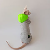 Neon Pop Hoodie