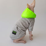 Neon Pop Hoodie