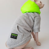 Neon Pop Hoodie
