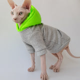 Neon Pop Hoodie
