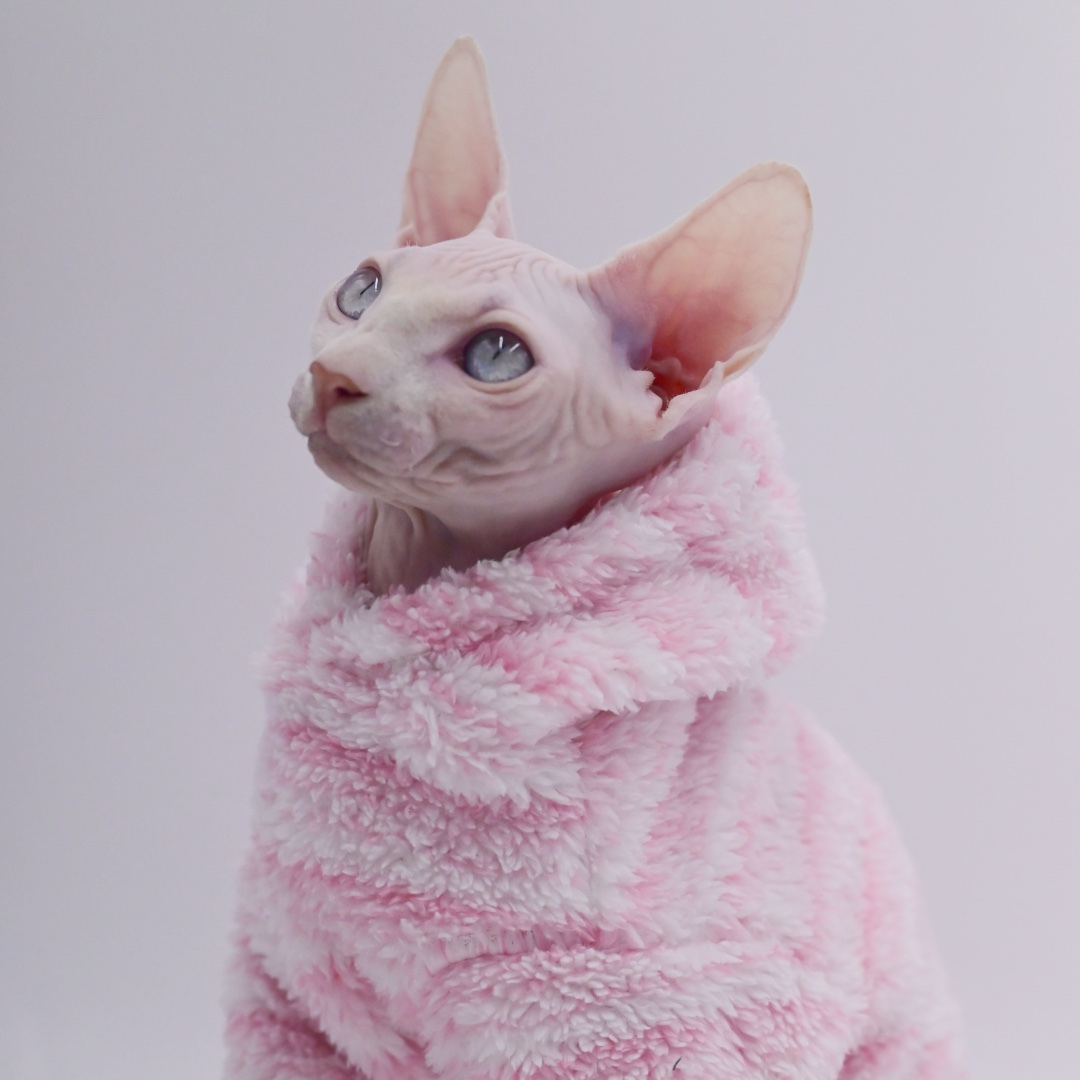 Pink Fleece Pullover Hoodie